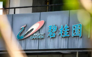 杨惠妍:家族砸锅卖铁支持公司，2024年交付量预计超过40万套 ！