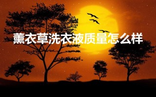 薰衣草洗衣液质量怎么样（薰衣草洗衣液的价格）