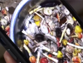 一家9口吃鹅膏菌中毒 医生：致死率非常高 !