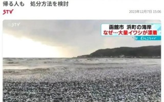 大量排核废水后！日本又一港口出现大量死鱼 约有三、四十吨 ！
