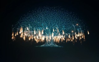 浏阳无人机烟花秀破世界记录 马斯克转发相关视频 !