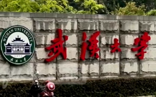 武大书画大赛获奖44人39人为干部 ！武大团委回应：已经严肃处理 ！