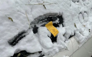 石家庄雪中罚单引热议 交警回应：(黄条)是告知单，有异议可复核 ！