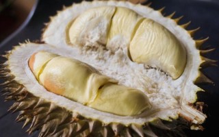 女子带榴莲上高铁被拦致错过列车 官方：可携带不可食用 ！