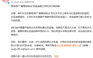 造谣海鸥充电时起火爆炸 比亚迪法务部：一网民已被行拘 ！