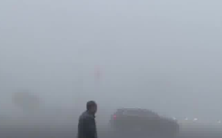 上海郊区的雾大到可拍西游记！网友：敢问路在何方？