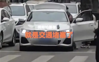 宝马女车主将车停路中间购物致整条街堵塞 没有不合适：网友看怒 ！