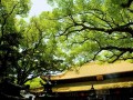 宁波怎么去普陀山方便快捷（可以选择的交通工具有哪些） ！