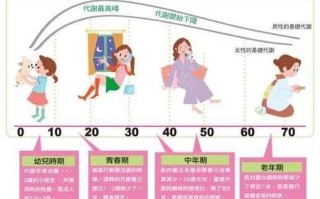 基础代谢怎么提高（提高基础代谢的正确方法是什么） ！