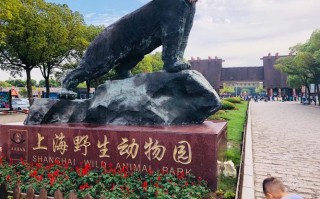 上海野生动物园攻略指南（游览上海野生动物园的攻略和建议）