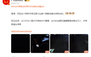 华为新手表曝光：无感丝滑召唤问界M9 ！