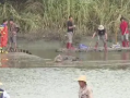 广东已抓回鳄鱼66条 仍有5条搜捕中：重点排查养殖场周边5公里的水域 ！