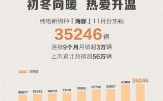 连续9月突破3万 ！比亚迪海豚11月卖出35246台：累计销量超56万台 ！
