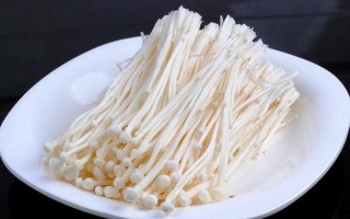 金针菇冷藏保存时长（指明金针菇在冰箱中的最佳保存时长） ！