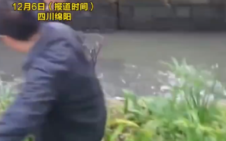 为了救小狗大学放干了护校河的水 ！网友：这才是高校应该有的态度，这才是最好的教育 ！