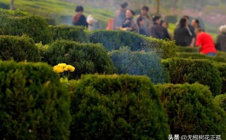 中国四大节日是哪四个（为什么只有清明节是阳历呢） ！