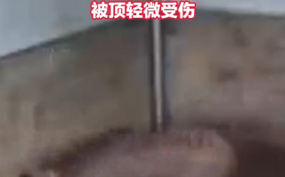 男子被上百公斤梅花鹿顶翻 起身怒敲鹿头 当事人：被顶轻微受伤 !