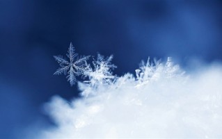 东北暴雪天出门堪比取经：路面犹如溜冰场 ！