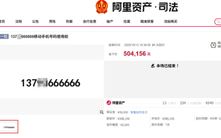 不设最低消费门槛 尾号“666666”手机号超50万元成功拍出 !