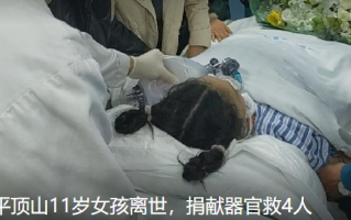 河南一女孩离世捐器官救4人！父母：让女儿的生命以另一种方式“活”下来 ！