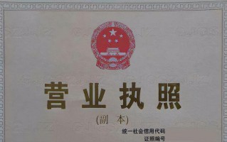营业执照在哪里办（在网上申请个人营业执照的流程） ！