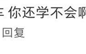驾校“狗教练”指导学员练习科目二 它站在哪里学员就往哪边看点 ！