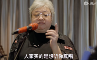 韩红曾说职业歌手唱不下来别开演唱会：人家买的是想听你真唱 ！