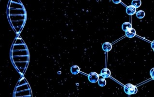 最新研究：3D打印新材料可与人体免疫系统兼容 !