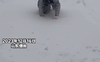 女生考完4级遇暴雪手脚并用爬回寝室：“积雪有25厘米厚，台阶完全被雪覆盖” ！