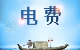 交了电费还是没电如何处理（电费已交但电力仍中断解决方法）