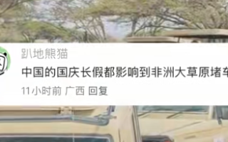 中国人国庆放假 东非大草原都堵车了 网友：聚是一栋楼 散是满地球 ！