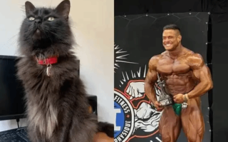 31岁健美冠军突然中风身亡 竟因爱猫去世太伤心 ！