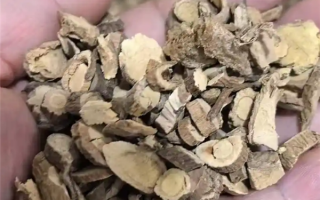 男子煎服15克山豆根中毒 医生：不能盲目相信偏方 ！