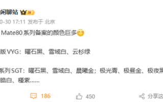 11月发布!华为Mate 80系列备案配色出炉:黑、白、紫、金、银全都有 ! 11月发布!华为Mate 80系列备案配色出炉:黑、白、紫、金、银全都有 !