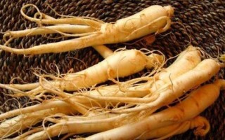 人参直接食用可行吗（解析人参直接食用的可行性） ！