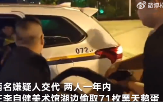 71枚黑天鹅蛋被偷 找到时已孵化2只：两名嫌疑人已被警方刑事拘留 ！