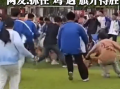 为缓解学生压力 学校举办抓鸡活动 鸡：压力不会消失 只会转移 ！