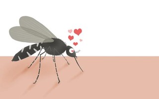 怎么不被蚊子咬（除了点蚊香还有什么方法预防被叮咬） ！