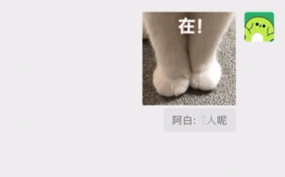 微信宣布新功能上线 聊天引用部分文字功能来了 !