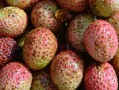 过量食用荔枝或引发“荔枝病”：严重时可导致昏迷 !