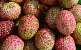 过量食用荔枝或引发“荔枝病”：严重时可导致昏迷 !