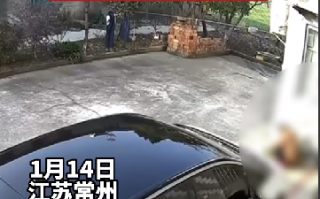 女司机开车起步撞死外婆 保险赔不赔 律师科普 ！