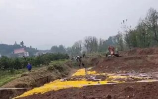 重庆6名村民疑似气体中毒 3人死亡：事故发生坑内有大量柑橘堆放 ！