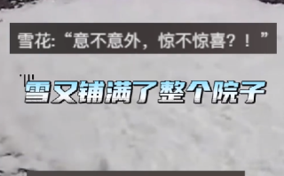 一家人刚扫完院里的雪：下一秒白干 屋顶积雪砸下来了 ！