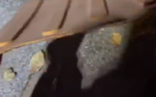 河南一马路盲道疑是贴纸一撕就掉 ！当地回应:会交由职能部门核实 ！