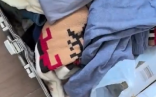 男子转机拿错行李零下20度穿短袖：只盼早点拿回羽绒服 ！