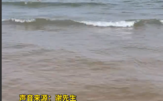 游客海边守护落单女童获奖5千：被全网怒赞 ！