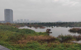 探访苏州“毒地” 有居民称房价暴跌：很担心自家房子所在地块到底有没有污染！