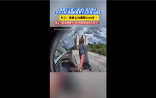 理想汽车停路边惨遭划车 陌生大爷潇洒离开：哨兵模式记录全过程 !