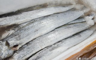 油带鱼和普通带鱼区别（真正的油带鱼是什么样子的） ！